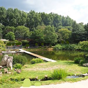 Bird show arena, 2022-08-28