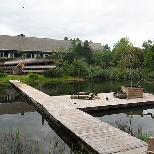 Bird show arena and stands, 2022-08-28