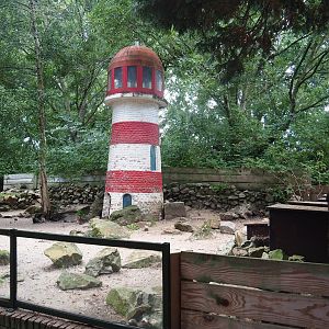 Humboldt penguin exhibit, 2022-08-28