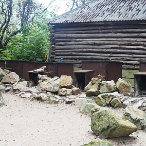 Humboldt penguin nesting boxes, 2022-08-28