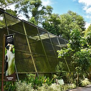 [CLOSED] Birds of Prey exhibit