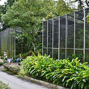 [CLOSED] Hornbills and Toucans exhibit