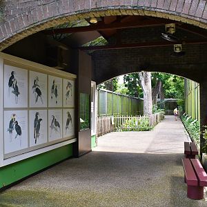 [CLOSED] Hornbills and Toucans exhibit