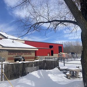 Giraffe Barn Expansion Construction
