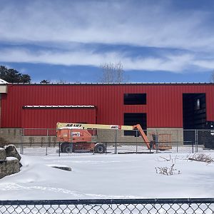 Giraffe Barn Expansion Construction