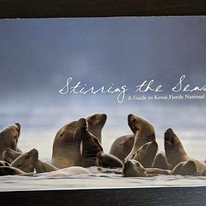 Stirring the Seas: A Guide to Kenai Fjords National Park