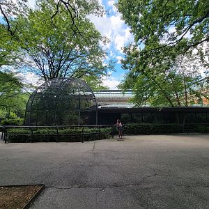 Bronx 7/22 - Astor Court - Black-faced Ibis
