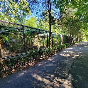 Bronx 7/22 - Pheasantry - Row of exhibits