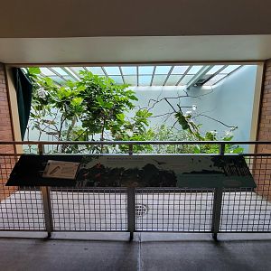 Bronx 7/22 - Aquatic Bird House - Anhinga exhibit