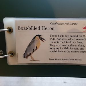 Bronx 7/22 - Aquatic Bird House - Example of flip book signage