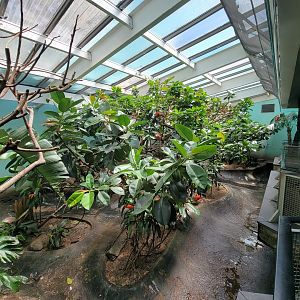 Bronx 7/22 - Aquatic Bird House - Scarlet ibis exhibit