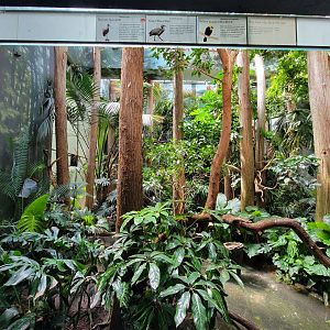 Bronx 7/22 - Aquatic Bird House - Roseate spoonbill exhibit