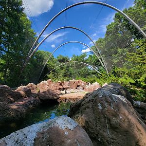 Bronx 7/22 - Aquatic Bird House - Aitken Sea Bird Aviary