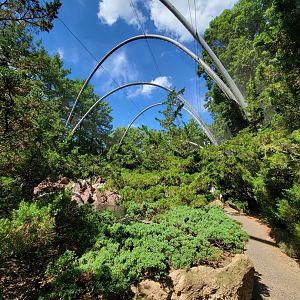 Bronx 7/22 - Aquatic Bird House - Aitken Sea Bird Aviary