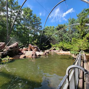Bronx 7/22 - Aquatic Bird House - Aitken Sea Bird Aviary