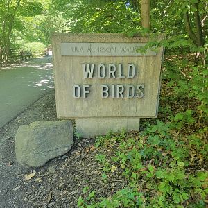 Bronx 7/22 - World of Birds