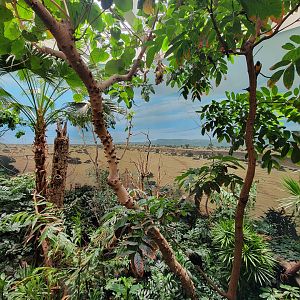 Bronx 7/22 - World of Birds - Main second floor aviary