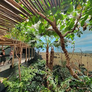 Bronx 7/22 - World of Birds - Main second floor aviary
