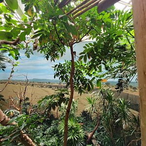 Bronx 7/22 - World of Birds - Main second floor aviary