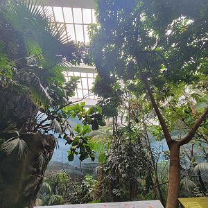 Bronx 7/22 - World of Birds - 2nd upstairs aviary