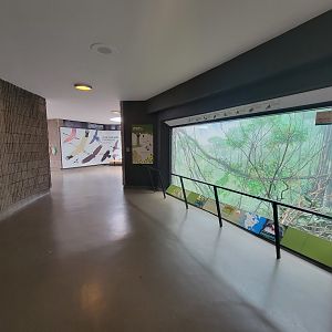 Bronx 7/22 - World of Birds - Upstairs viewing for nicobar exhibit