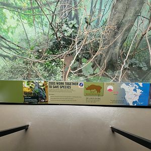 Bronx 7/22 - World of Birds - Zoos saving species sign