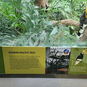 Bronx 7/22 - World of Birds - Designing trees sign