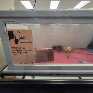 Bronx 7/22 - World of Birds - Nursery