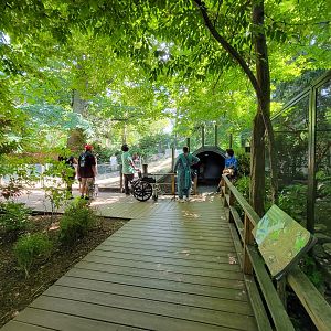 Bronx 7/22 - Children's Zoo - Path, play area