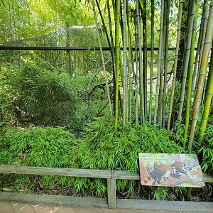 Bronx 7/22 - Children's Zoo - Coati