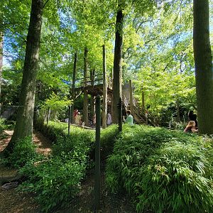 Bronx 7/22 - Children's Zoo - Play area