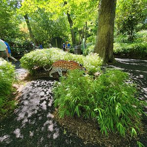 Bronx 7/22 - Children's Zoo - Artwork