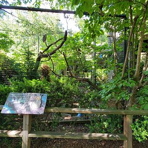 Bronx 7/22 - Children's Zoo - Owl
