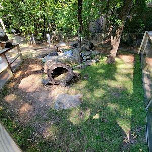 Bronx 7/22 - Children's Zoo - Domestic rabbits