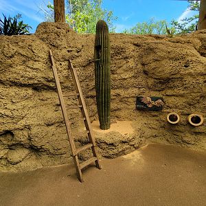 Bronx 7/22 - Children's Zoo - Climbing area