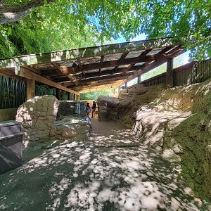 Bronx 7/22 - Children's Zoo - Looking back at desert area