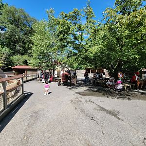 Bronx 7/22 - Children's Zoo - Barnyard