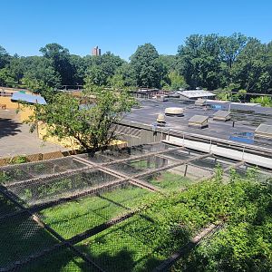 Bronx 7/22 - Monorail - Barn area