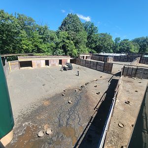 Bronx 7/22 - Monorail - Barn area