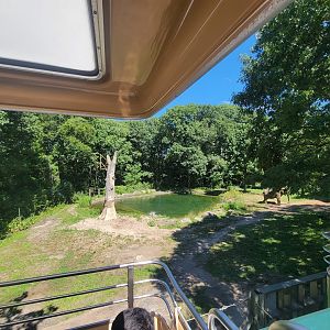 Bronx 7/22 - Monorail - Elephant pool