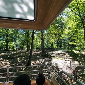 Bronx 7/22 - Monorail - Nilgai, I think?