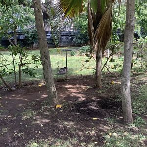 Kapuka Nene Sanctuary 3/25/23