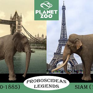 Planet Zoo Mod Idea - Proboscidean Legends