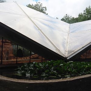 Lorikeet Landing building and roof structure, 2022-08-28