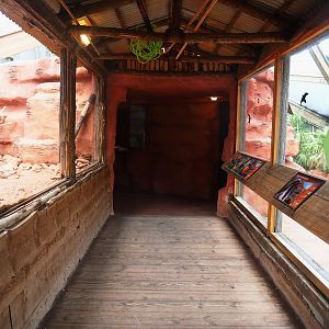 Lorikeet Landing - Access tunnel with viewing windows, 2022-08-28