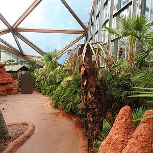 Lorikeet Landing walk-through exhibit, 2022-08-28