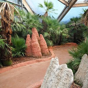 Lorikeet Landing walk-through exhibit, 2022-08-28