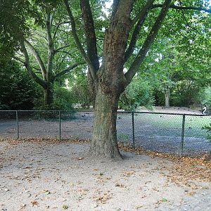 Saddle-billed stork and Bewick's swan exhibit, 2022-08-28