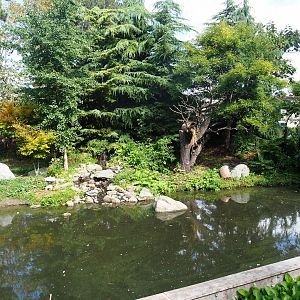 Nepalese red panda and Red-crowned crane exhibit, 2022-08-28