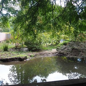 Nepalese red panda and Red-crowned crane exhibit, 2022-08-28